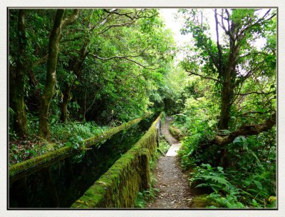 07 10 41 Lagoa do Fogo Levada.JPG