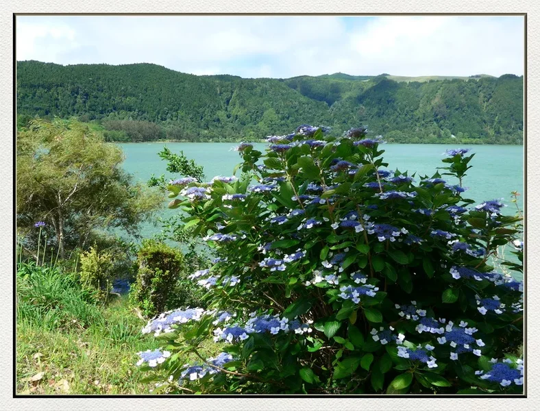 12 08 59 Lagoa das Furnas.webp