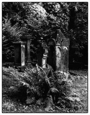 ci_SAM_4762_1.jpg ci_SAM_4762_1.jpg