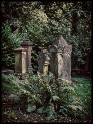 ci_SAM_4762_2.jpg ci_SAM_4762_2.jpg