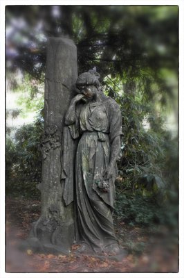 ci_SAM_4794.jpg ci_SAM_4794.jpg