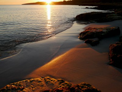 comp_P1060271g.jpg comp_P1060271g.jpg