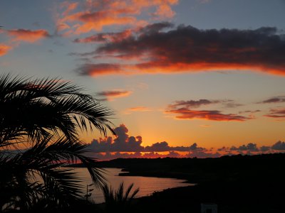 comp_P1060103b.jpg comp_P1060103b.jpg