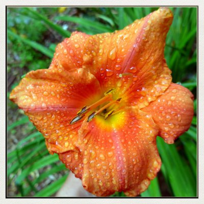 42 29 149 Ponta Delgada.JPG