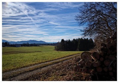 _small__IMG0238.JPG _small__IMG0238.JPG