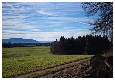 _small__IMG0241.JPG _small__IMG0241.JPG