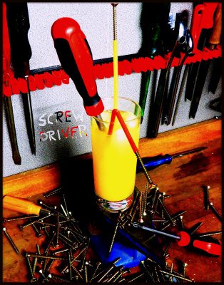 Screwdriver klein 1.JPG