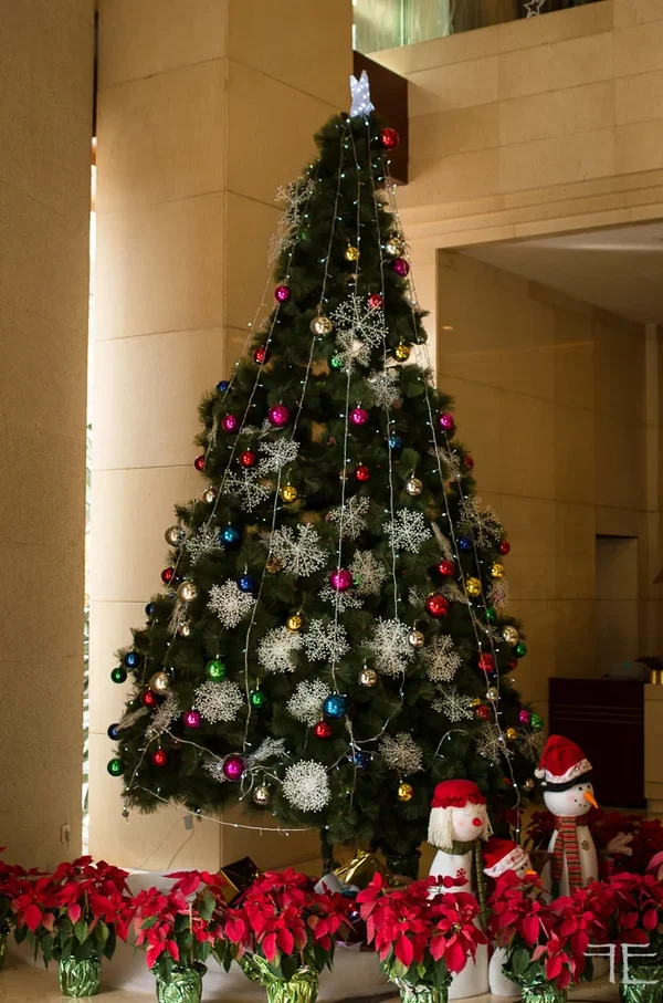 20161228-_IGP1392.webp