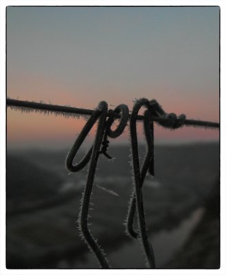 ci_SAM_5638.jpg ci_SAM_5638.jpg