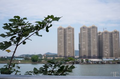 20161228-_IGP1418.jpg 20161228-_IGP1418.jpg