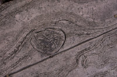 20161228-_IGP1406.jpg 20161228-_IGP1406.jpg