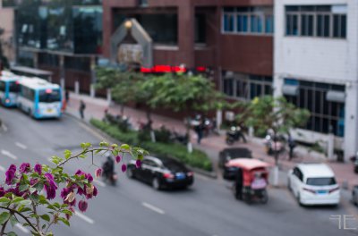 20161228-_IGP1397-2.jpg 20161228-_IGP1397-2.jpg