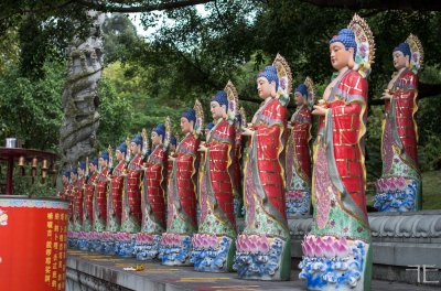 20161229-_IGP1540.jpg 20161229-_IGP1540.jpg