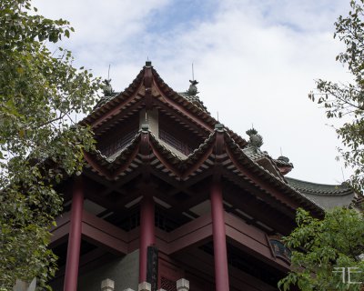 20161229-_IGP1566-2.jpg 20161229-_IGP1566-2.jpg