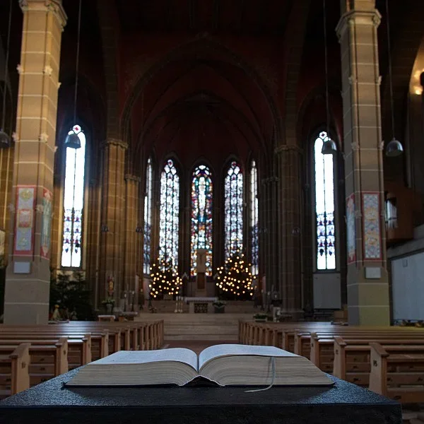 DSCF0061-ohneBearbeitung.webp