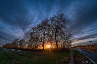 ci_SAM_3133.jpg ci_SAM_3133.jpg