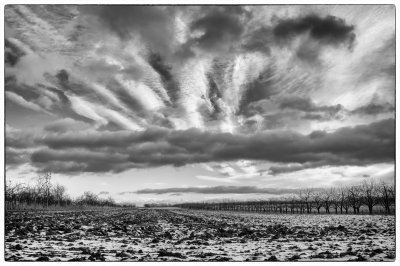 ci_SAM_3369_sw.jpg ci_SAM_3369_sw.jpg