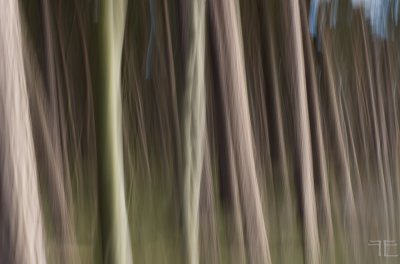 20160423-_IGP8087.jpg 20160423-_IGP8087.jpg