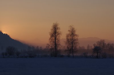 2011-01-03__Hoerzendorf_IMGP2867_cr.jpg