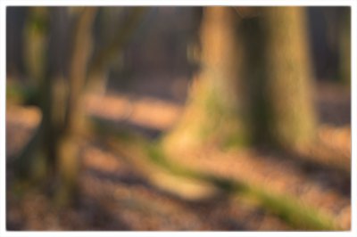 ci_K32_1559.jpg ci_K32_1559.jpg