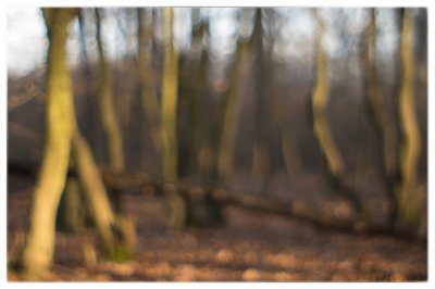 ci_K32_1565.jpg ci_K32_1565.jpg