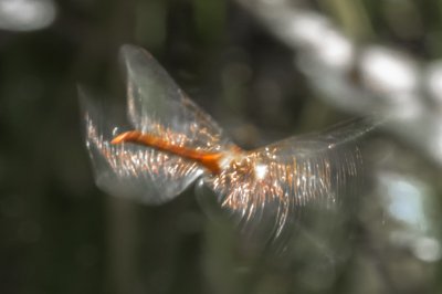 UMA_2018.jpg UMA_2018.jpg