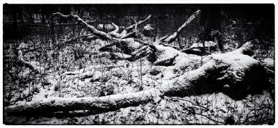 ci_SAM_3323_sw.jpg ci_SAM_3323_sw.jpg