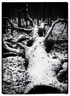 ci_SAM_3344_sw.jpg ci_SAM_3344_sw.jpg