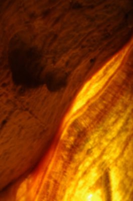 IMGP7738 Kopie 1500.jpg IMGP7738 Kopie 1500.jpg