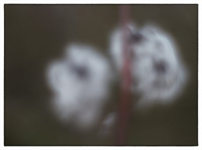 ci_SAM_2967.jpg ci_SAM_2967.jpg