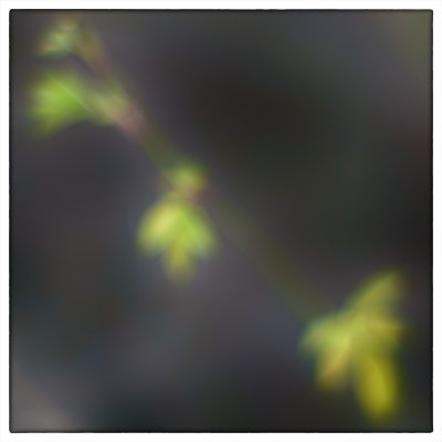 ci_SAM_2984.jpg ci_SAM_2984.jpg