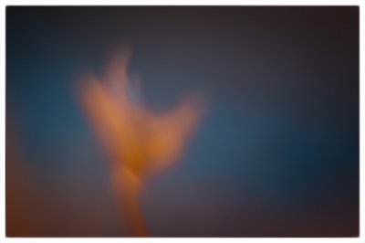 ci_SAM_3092.jpg ci_SAM_3092.jpg