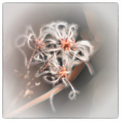 ci_SAM_2538.jpg ci_SAM_2538.jpg