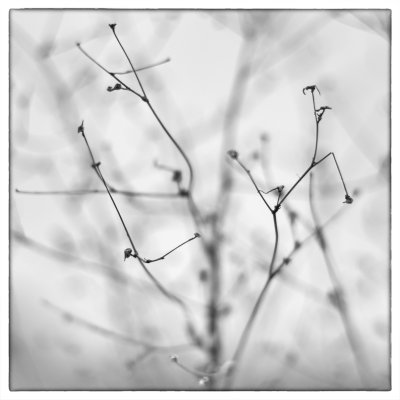 ci_SAM_3610.jpg ci_SAM_3610.jpg