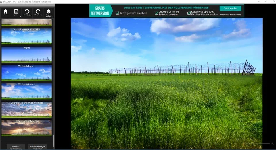 land.webp