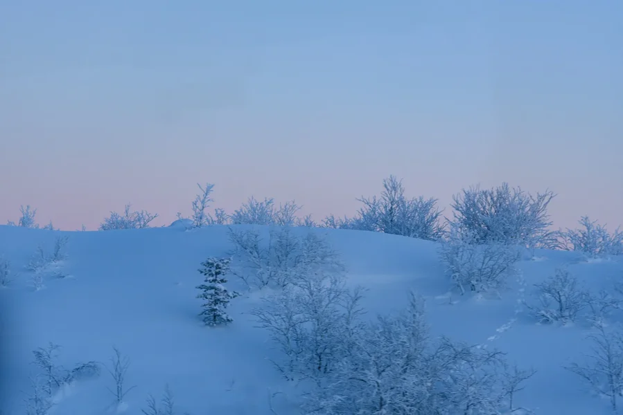 Kirkenes_11.webp