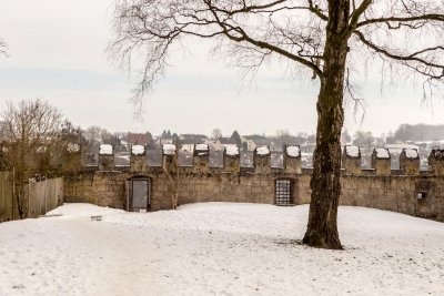 2017-01-30_P1050273_CI.jpg 2017-01-30_P1050273_CI.jpg