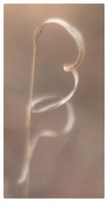 ci_SAM_3798_1.jpg ci_SAM_3798_1.jpg