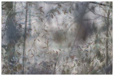 ci_SAM_3810.jpg ci_SAM_3810.jpg