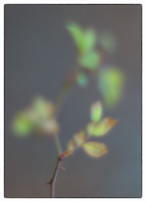 ci_SAM_3812.jpg ci_SAM_3812.jpg