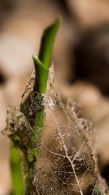20160423-_IGP7912.jpg