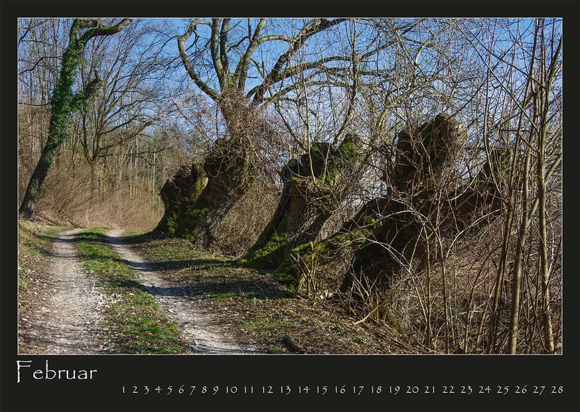 02 2017 Kalender Wege.webp