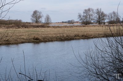 20170312-_IGP2272.jpg 20170312-_IGP2272.jpg