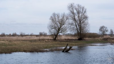 20170312-_IGP2274.jpg 20170312-_IGP2274.jpg