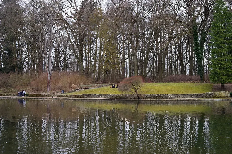 IMGP2272 Kopie.webp