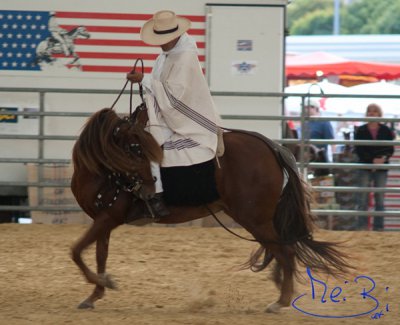 Rumaldo Alba on La Micheo doing the Enfrenadura.jpg