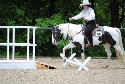 comp_2DSC_0172.jpg comp_2DSC_0172.jpg