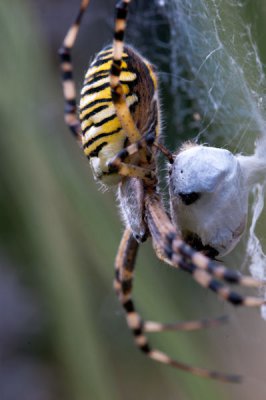 ai_20100814_185948_DSC_8443_x600.jpg