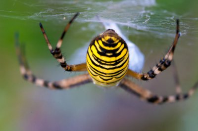 ai_20100814_190524_DSC_8456_x1600.jpg