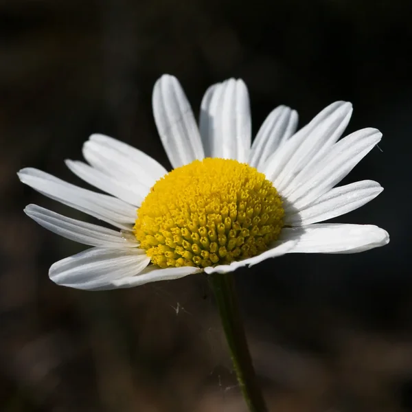 ci_04_K7PI8678.webp